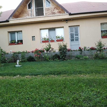 Willa Casa De Inchiriat In Limanu Zewnętrze zdjęcie
